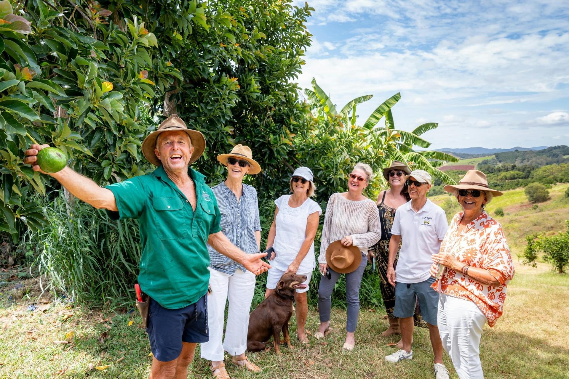 John Tidy at his organic avocado farm at Amamoor
