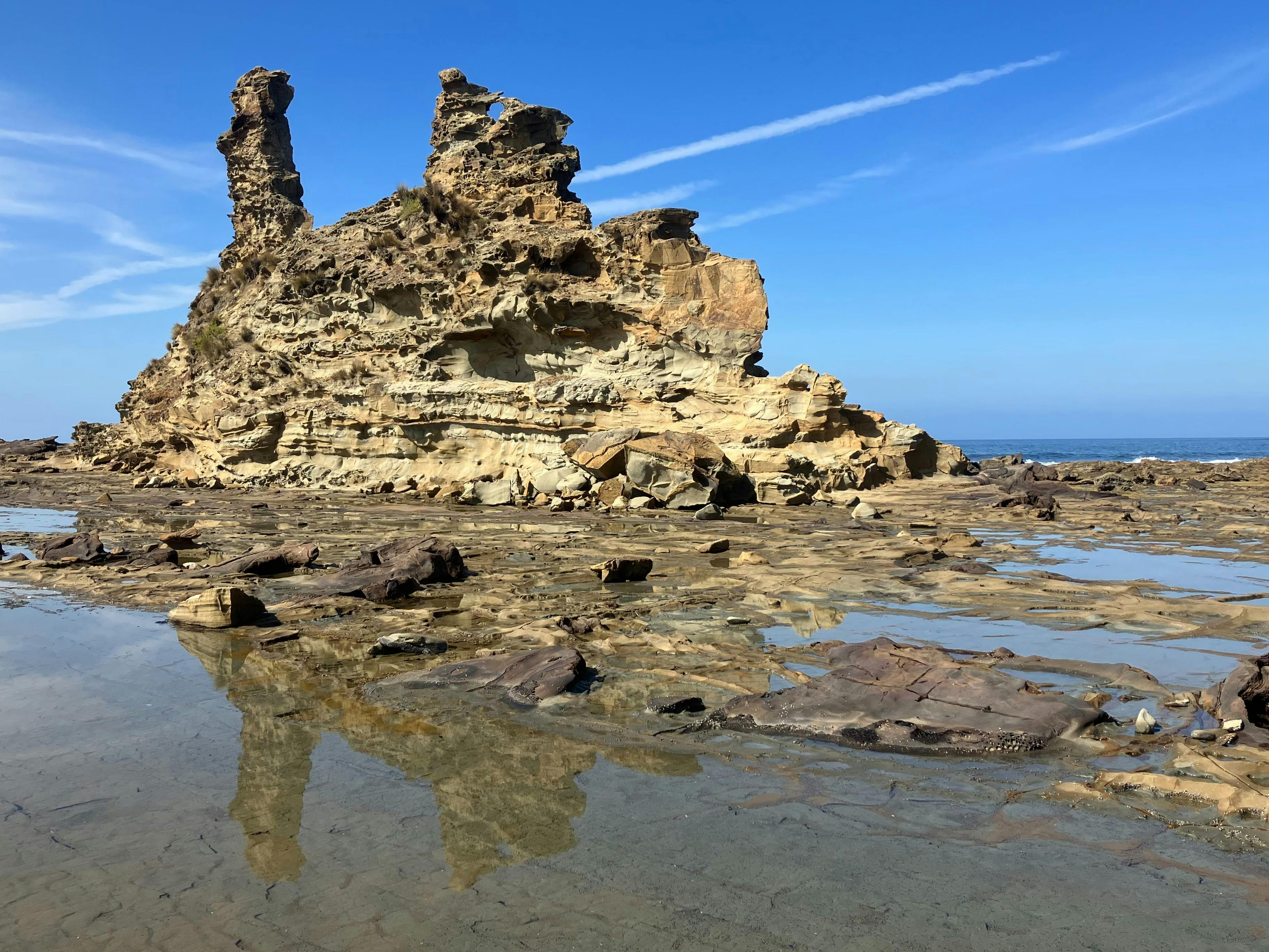 Dinosaur Discovery at Eagles Nest