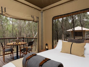Stay in a luxurious Eco Tent Stay in a luxurious Eco Tent