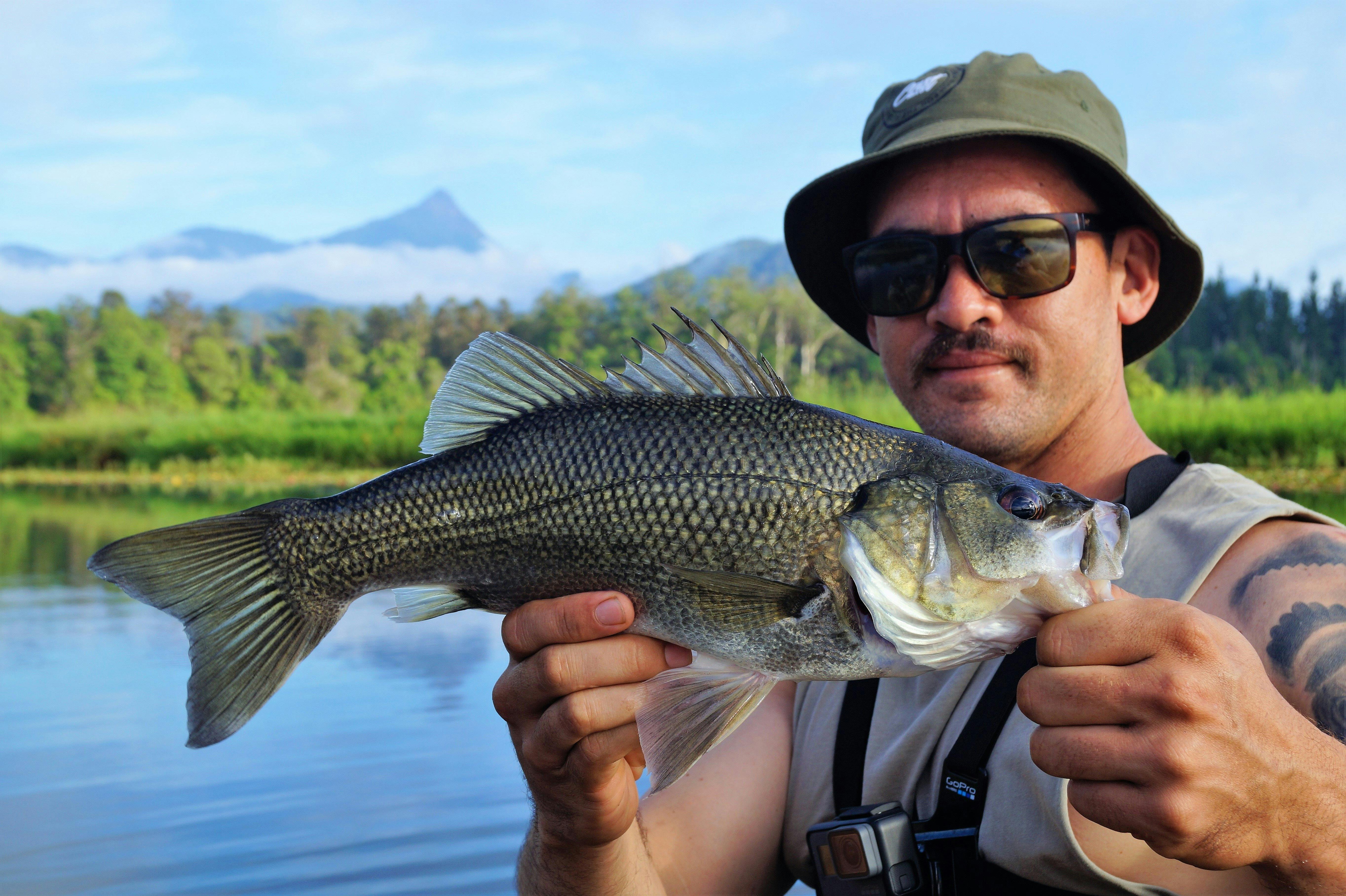 Bass Fishing at Clarrie Hall Dam