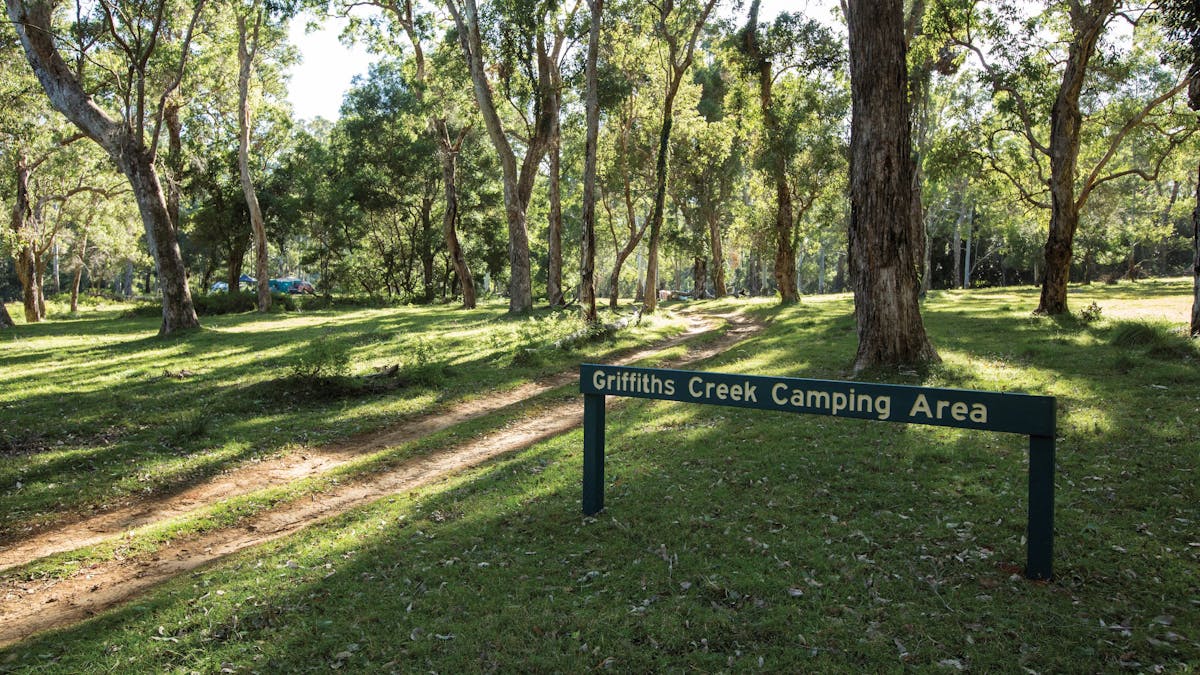 Grassy camping area at Kroombit Tops.