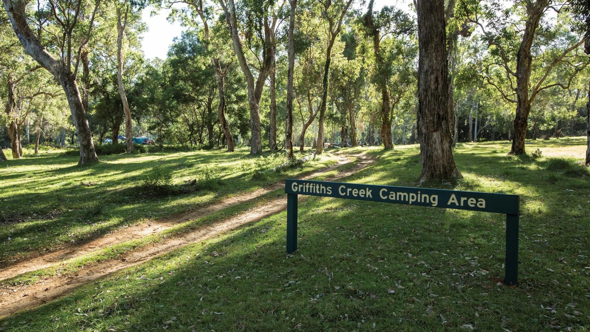 Grassy camping area at Kroombit Tops. Grassy camping area at Kroombit Tops.
