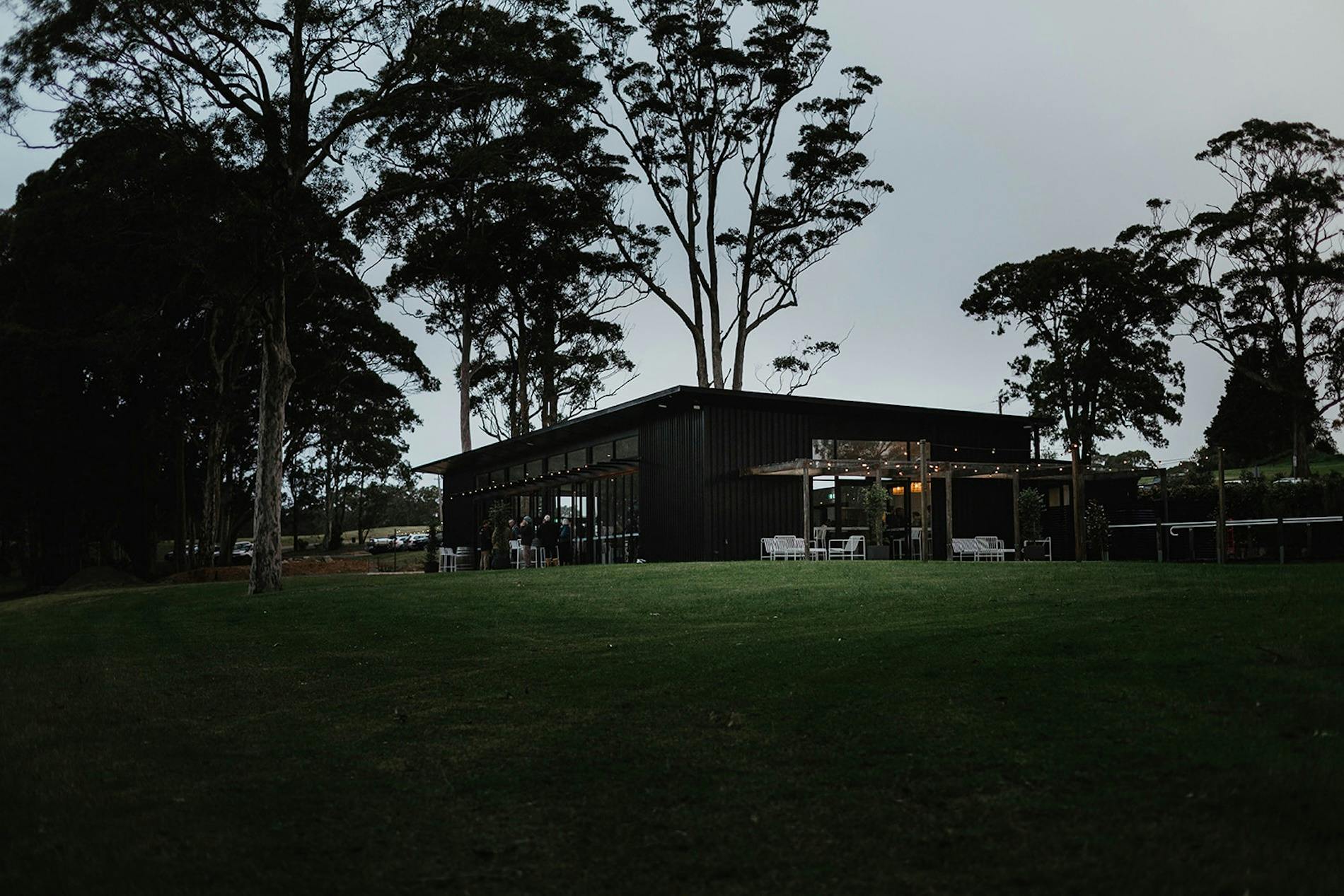 Melaleuca