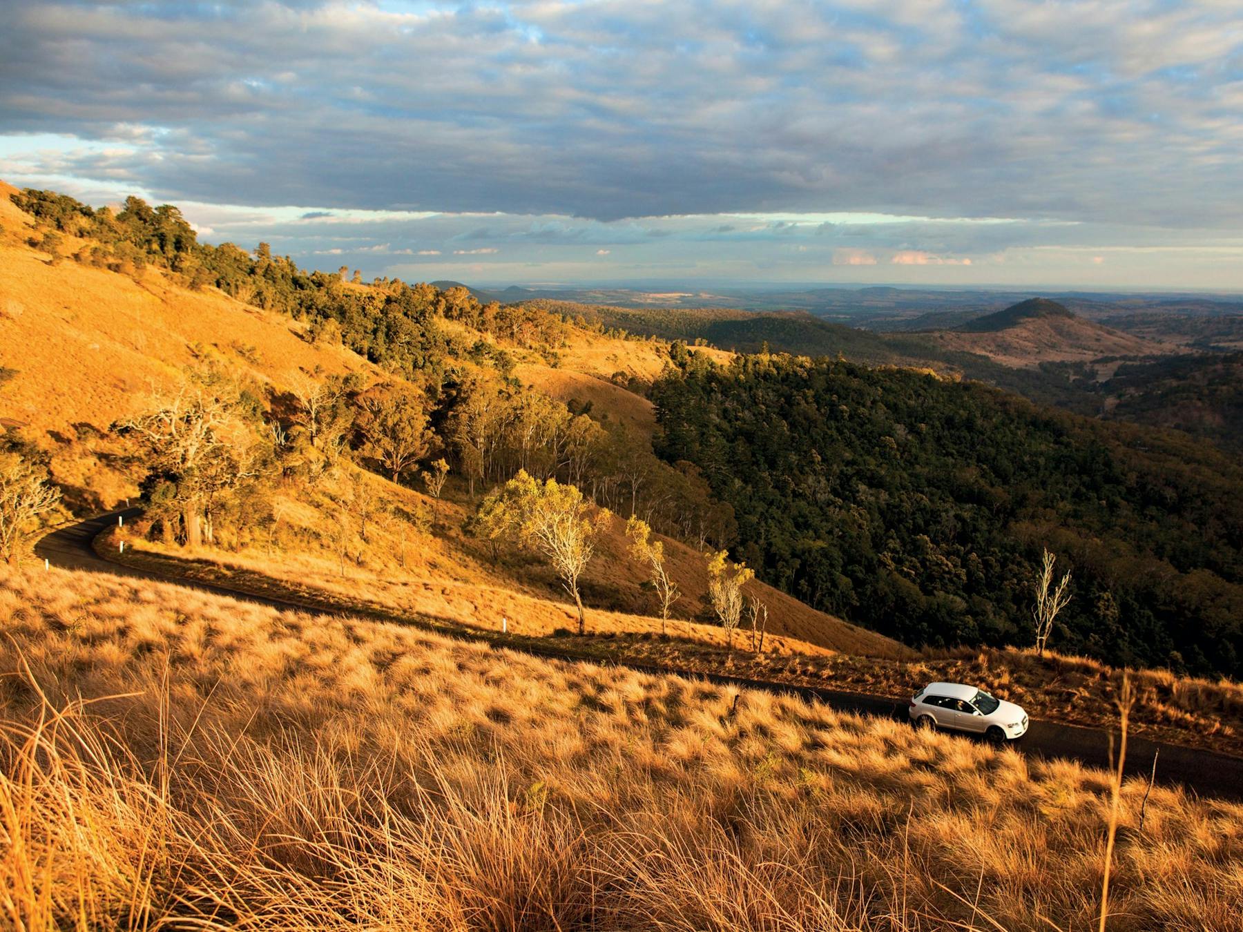 Bunya Mountains National Park - Australia's Country Way Drive