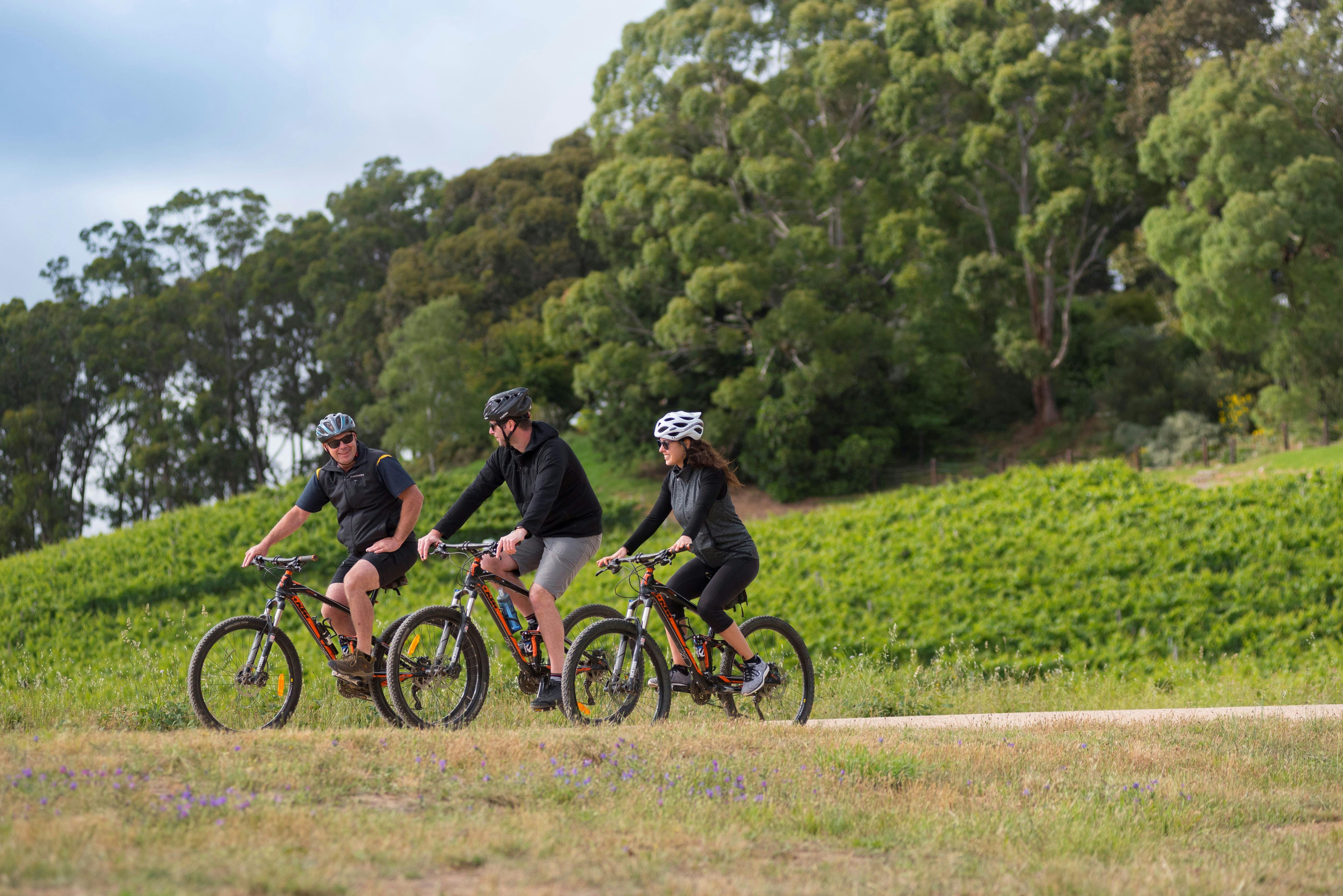 'A Taste of Hahndorf' Gourmet Food & Wine E-Bike Tour