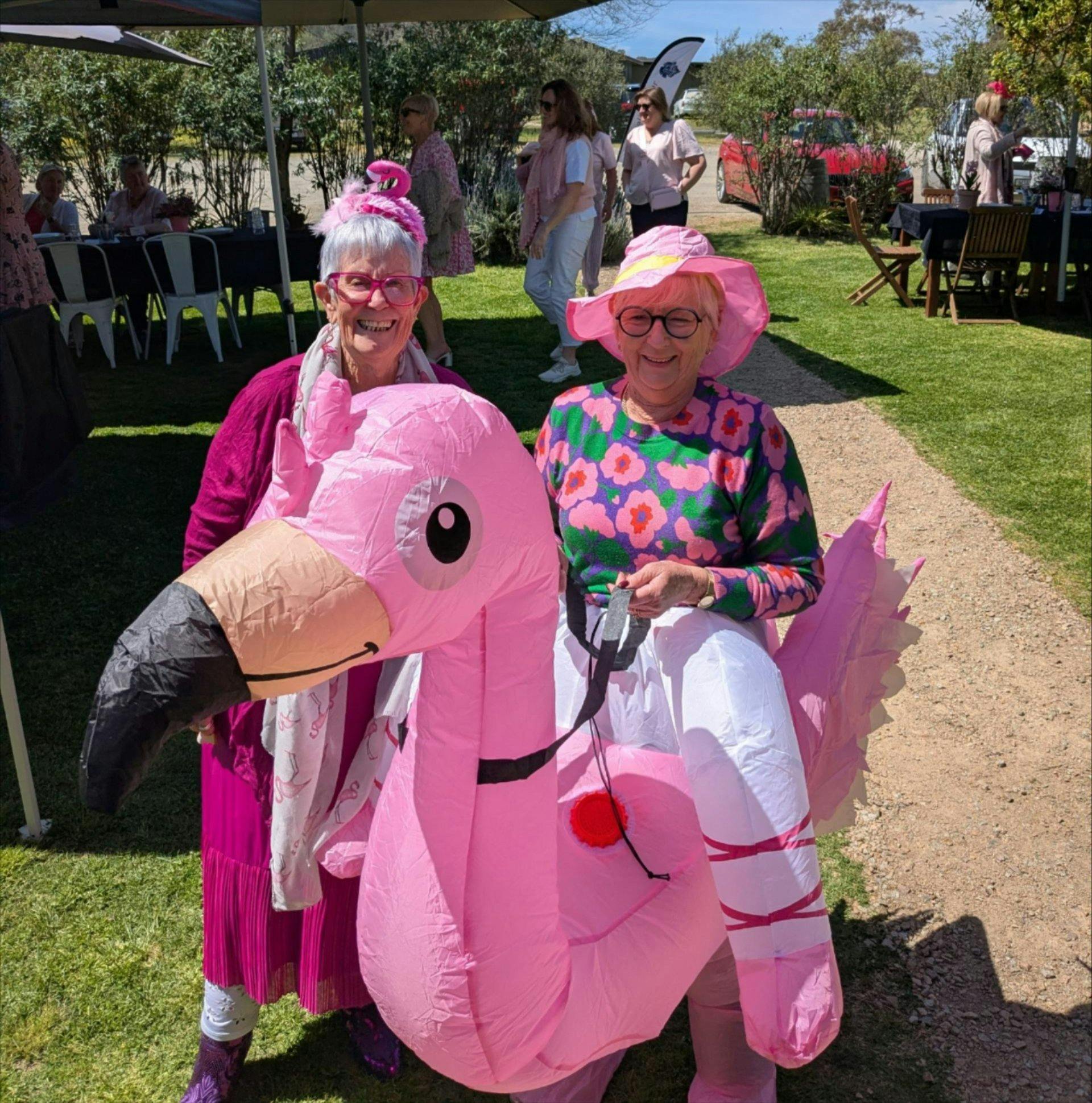 pink dress up