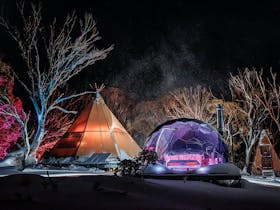 Alpine Nature Experience