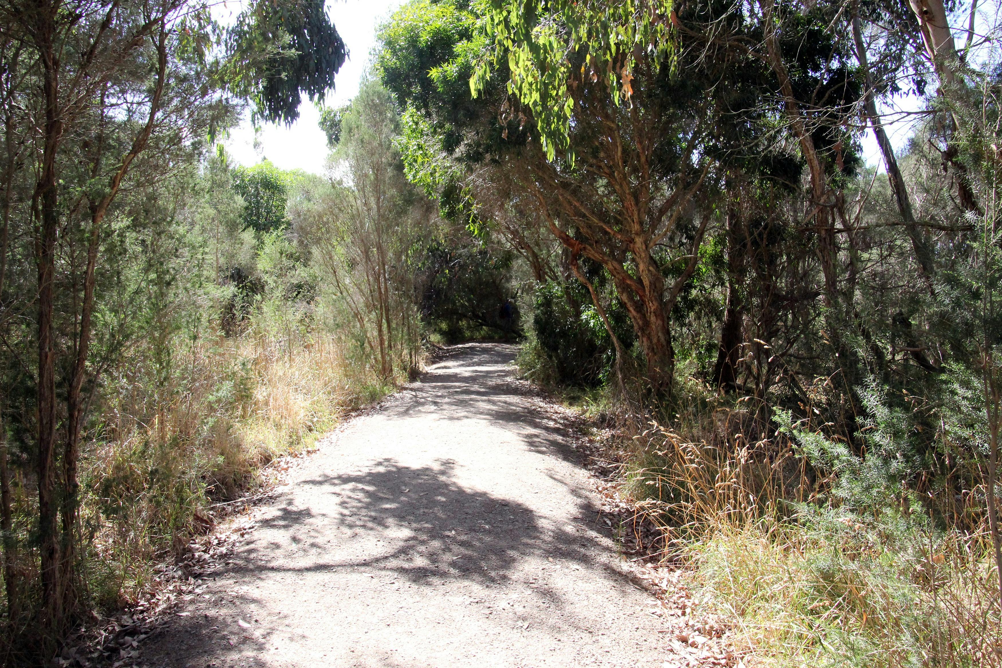 Balbirooroo Wetlands