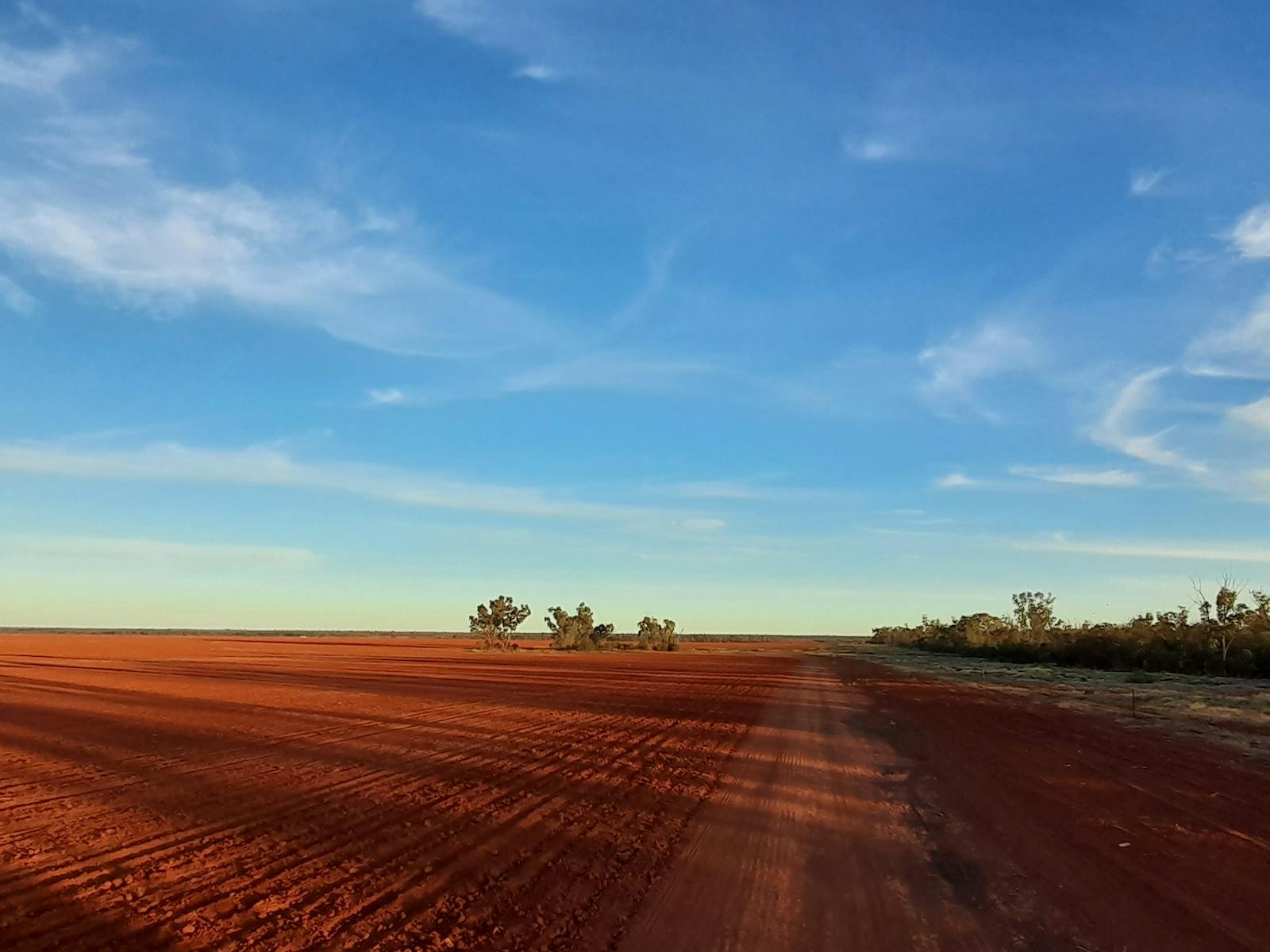 Red farm soils of Shirbar Red farm soils of Shirbar