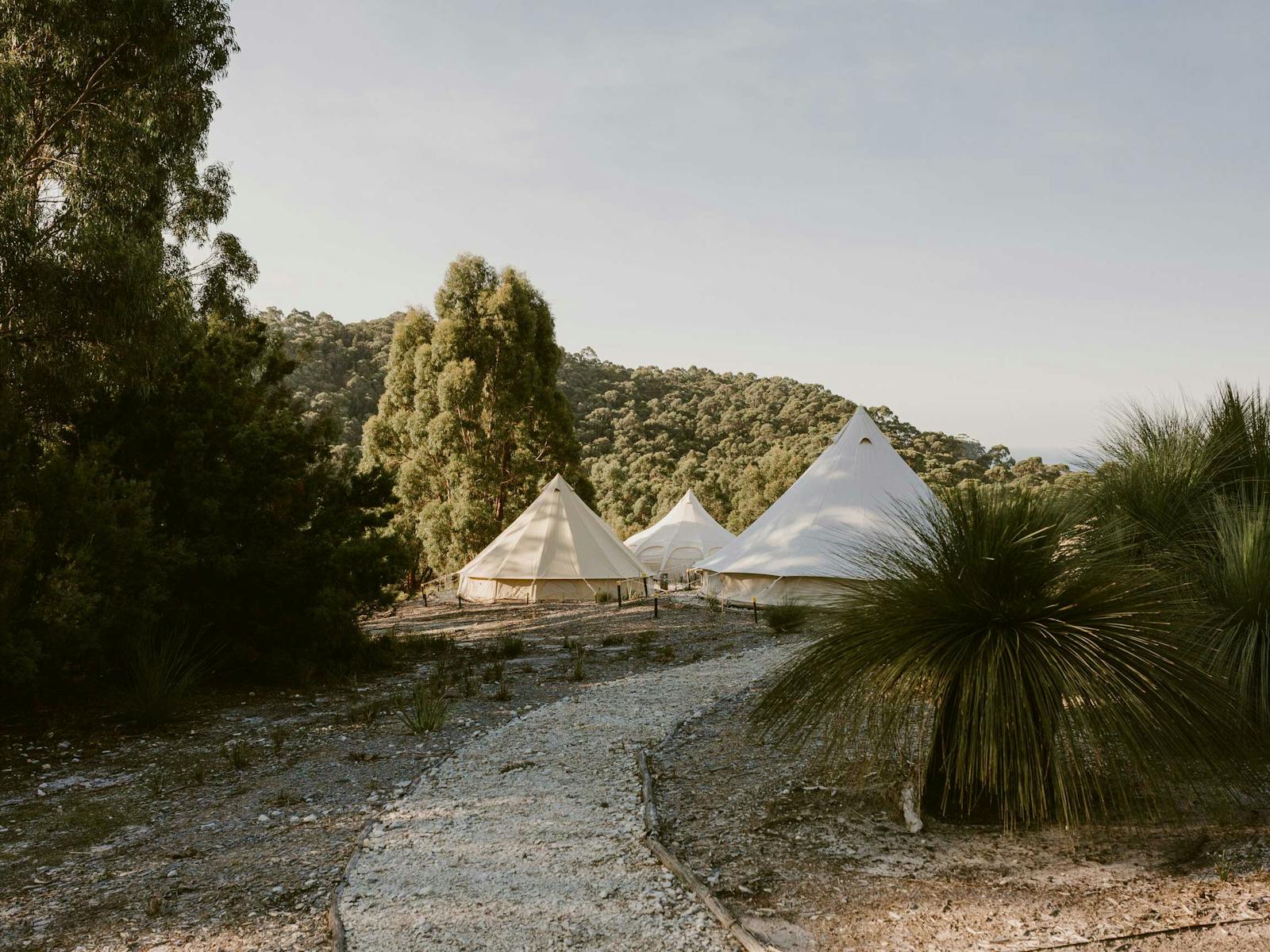 Follow the flora surrounded paths to the tents.