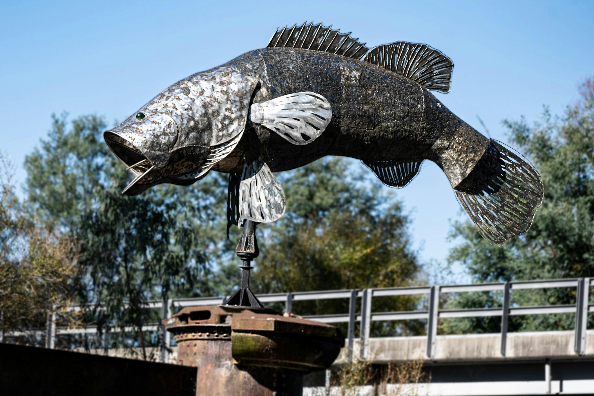 The Murray Cod sculpture 'leaps' above the river surface on a historic bridge pylon