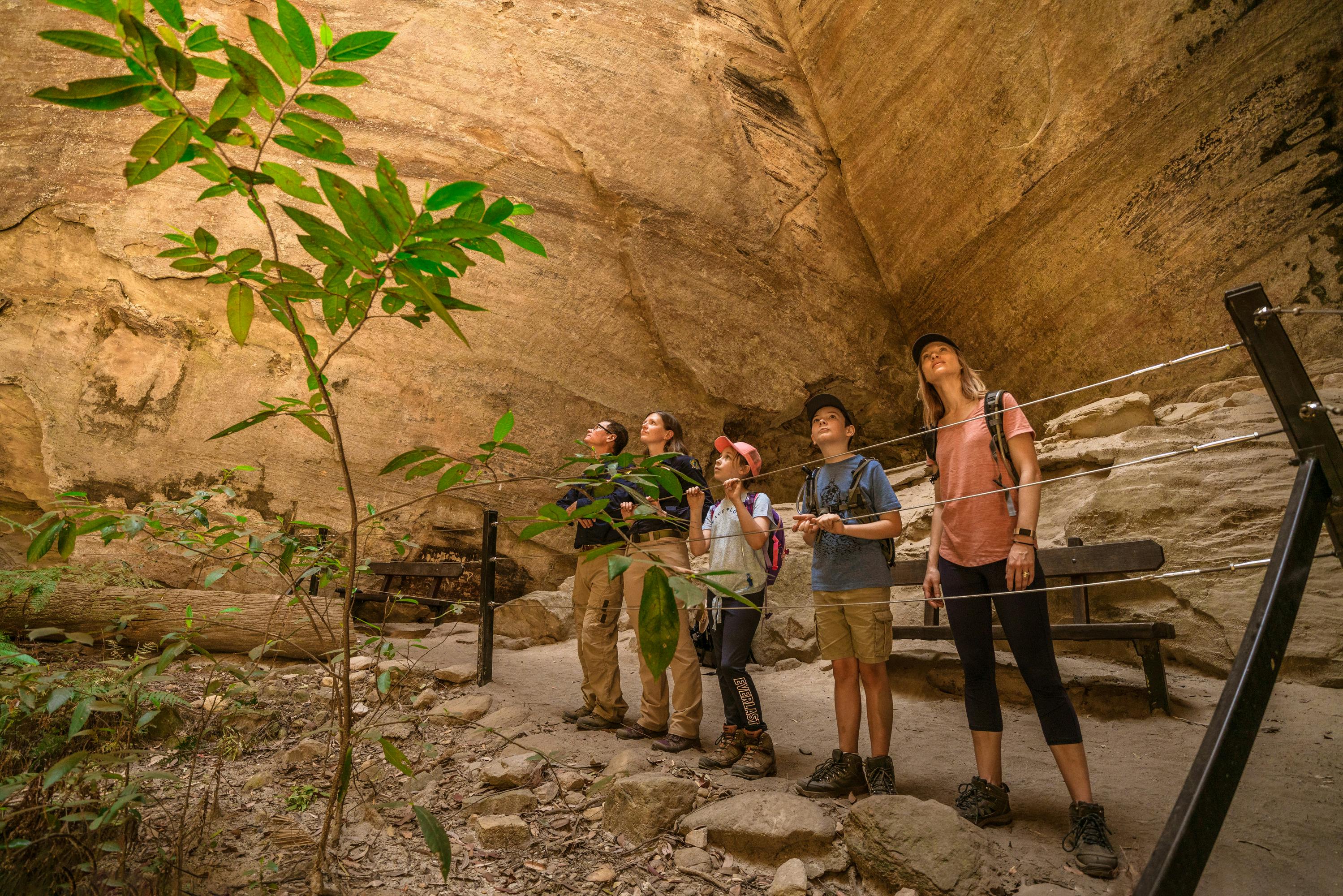 Two tour guides and their guests gaze up at the soaring cliffs at the Amphitheatre, Carnarvon Gorge.