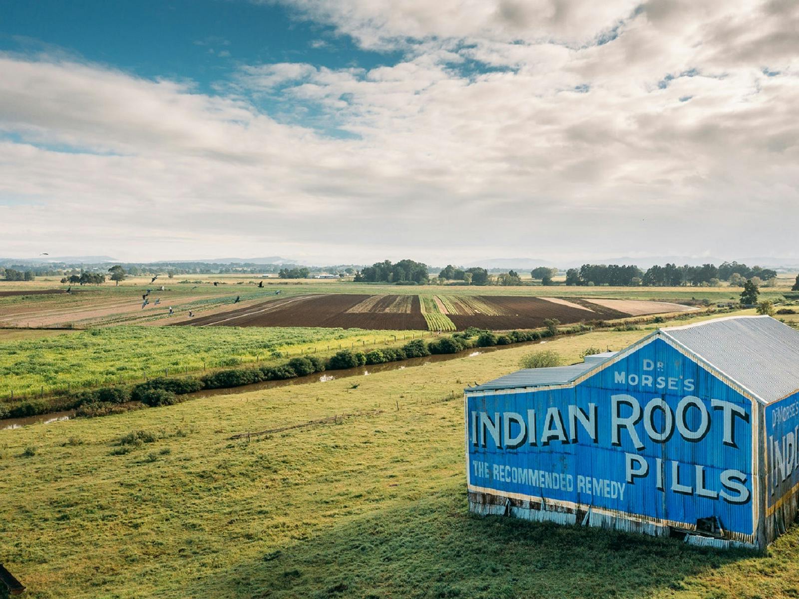 Pill The Roots Indian Root Pills Building | NSW Holidays & Accommodation, Things to Do ...