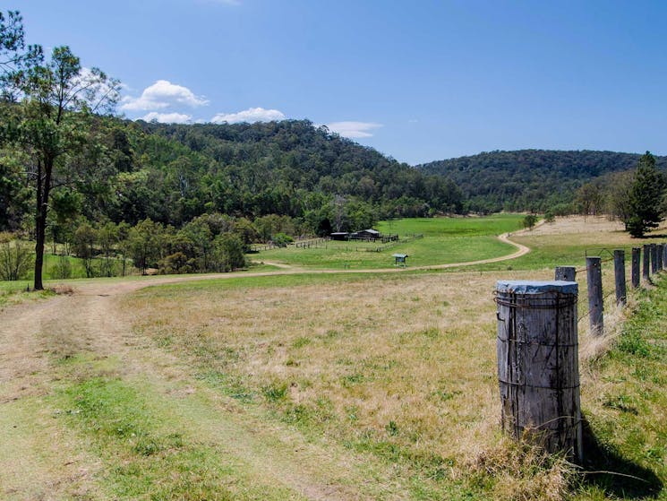 Howes trail, Yengo National Park. Photo: John Spencer