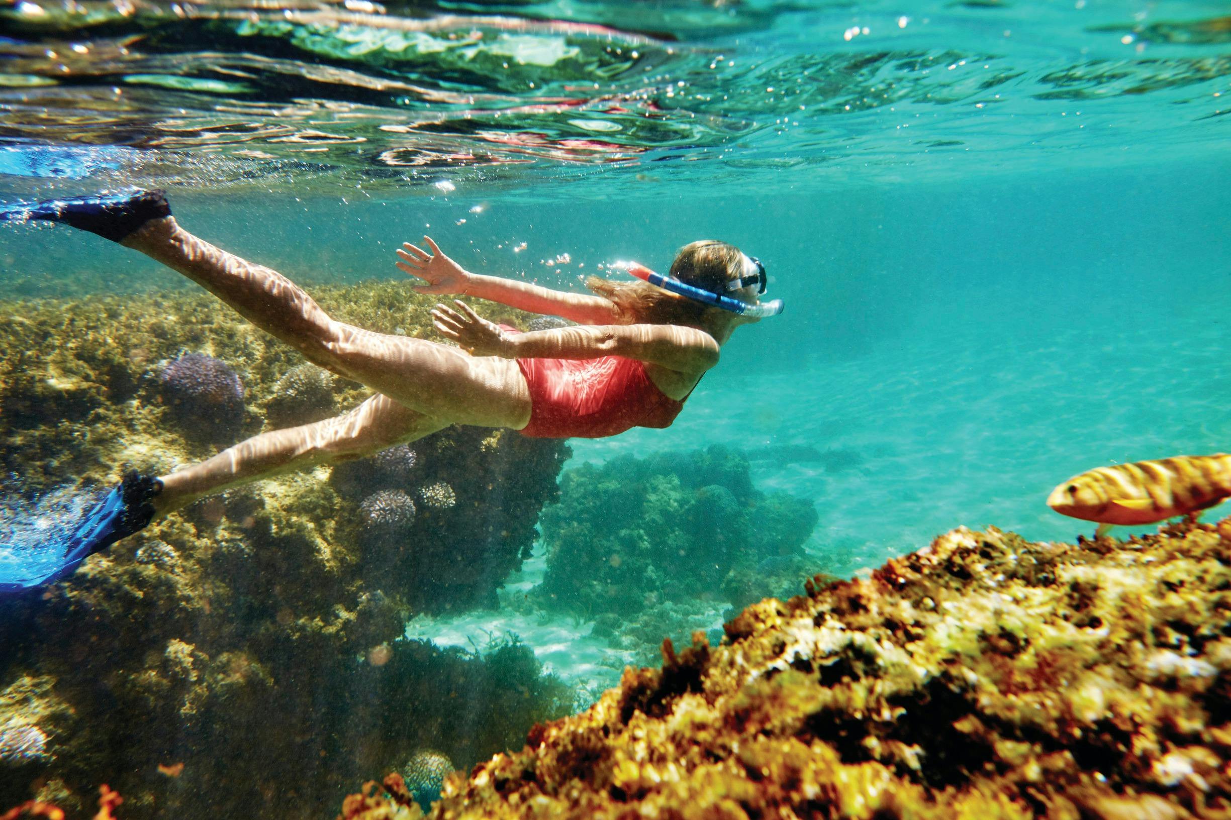 Rottnest Island