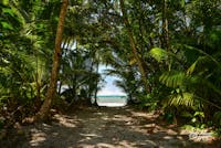 Beach pathway, Cape Trib Camping, Cape Tribulation, Tropical North QLD