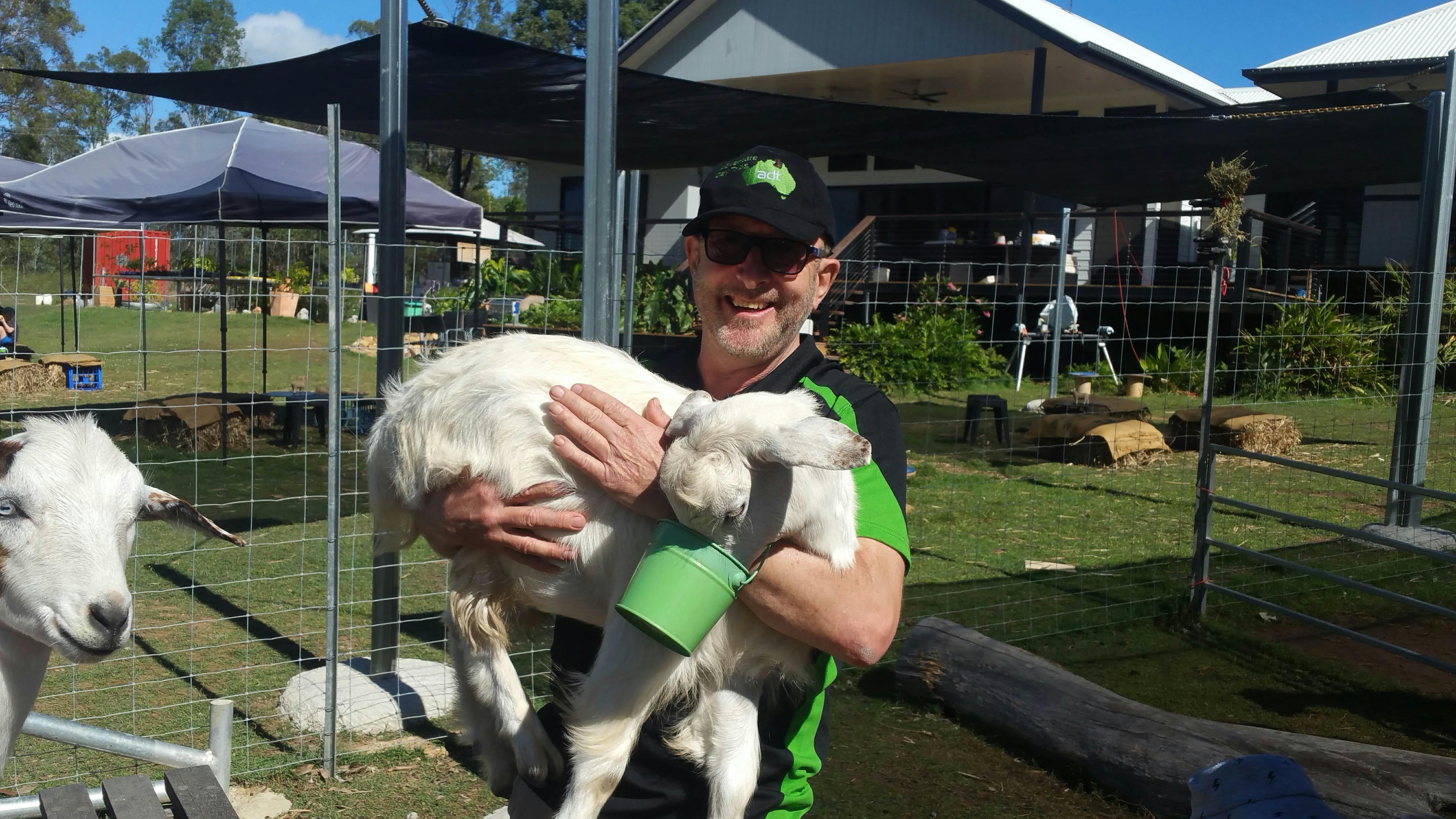 Haigslea Ewe Nique Hobby Farm