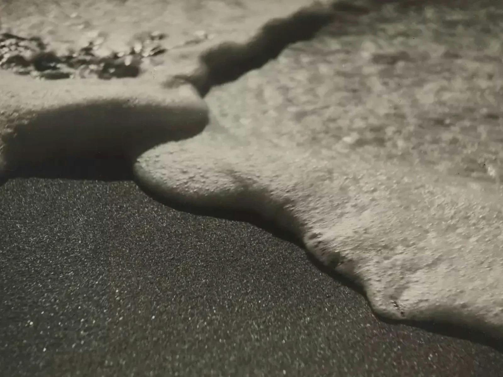 Curator's Talk I Olive Cotton and her contemporaries edit