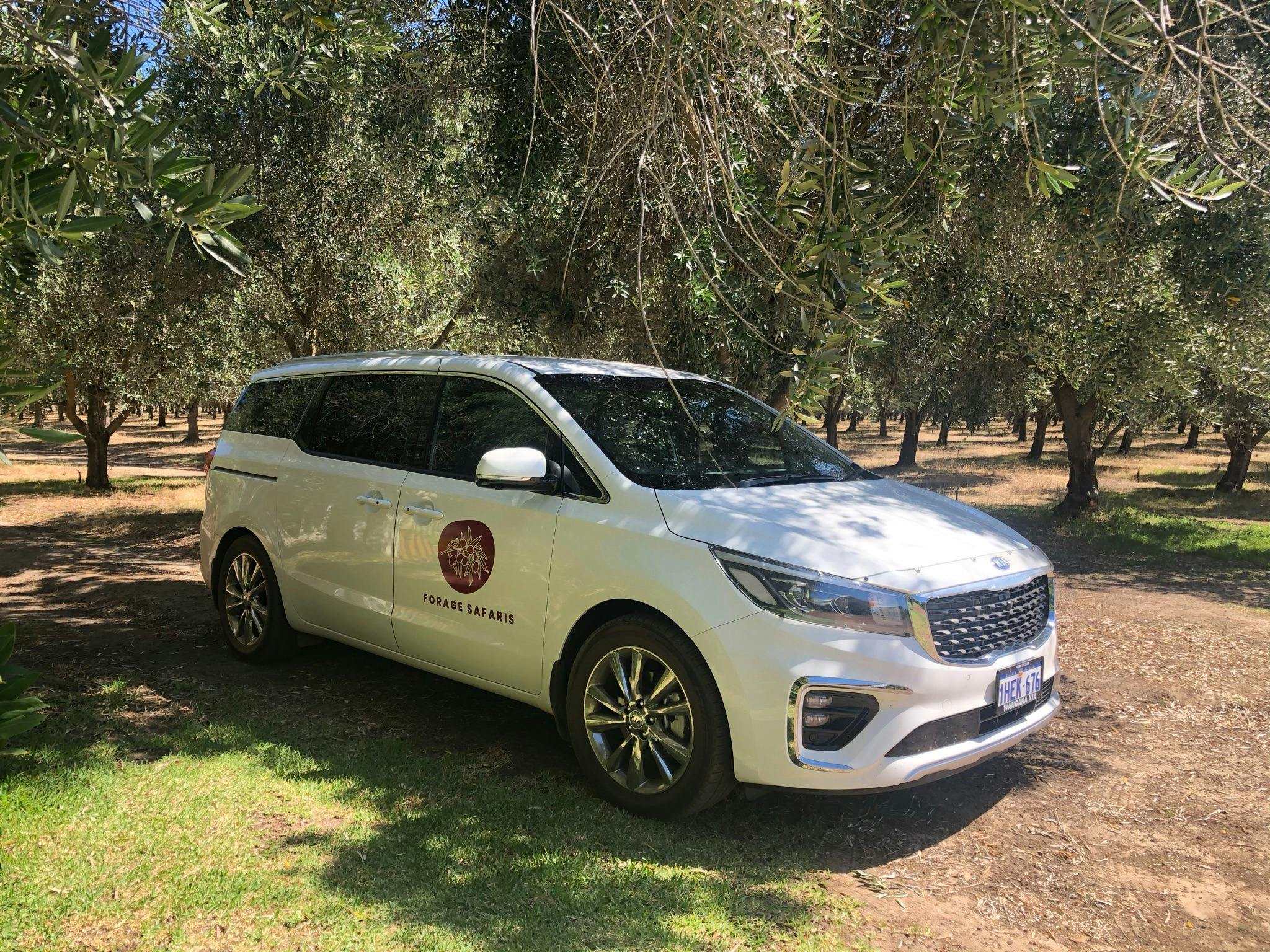 Forage Safaris tour vehicle