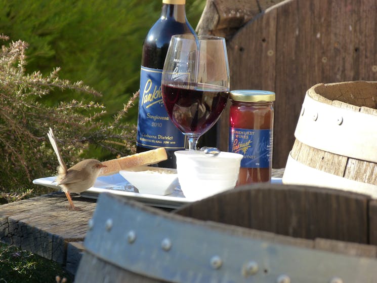 Cheese platter and a bottle of Sangiovese at Pankhurst Wines