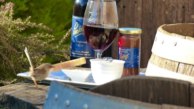 Cheese platter and a bottle of Sangiovese at Pankhurst Wines