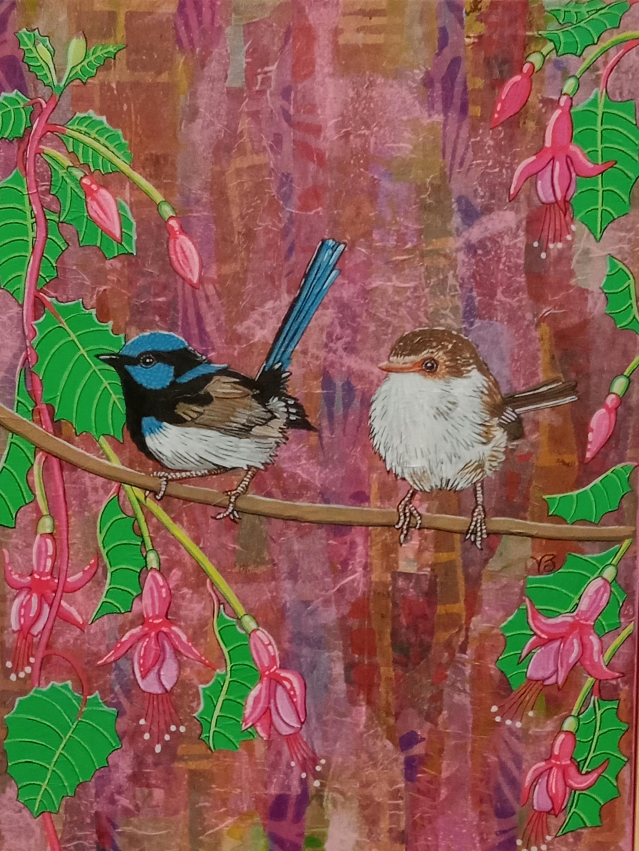 Fairy Wrens