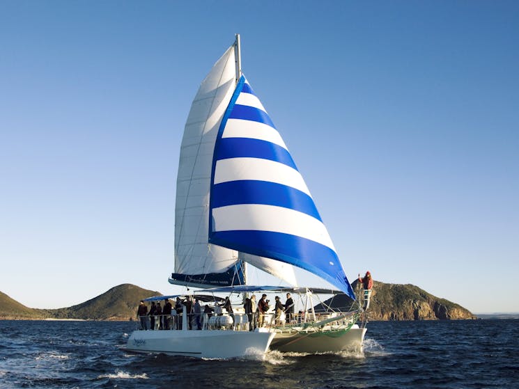 Imagine is a purpose-built 54 foot sailing catamaran.