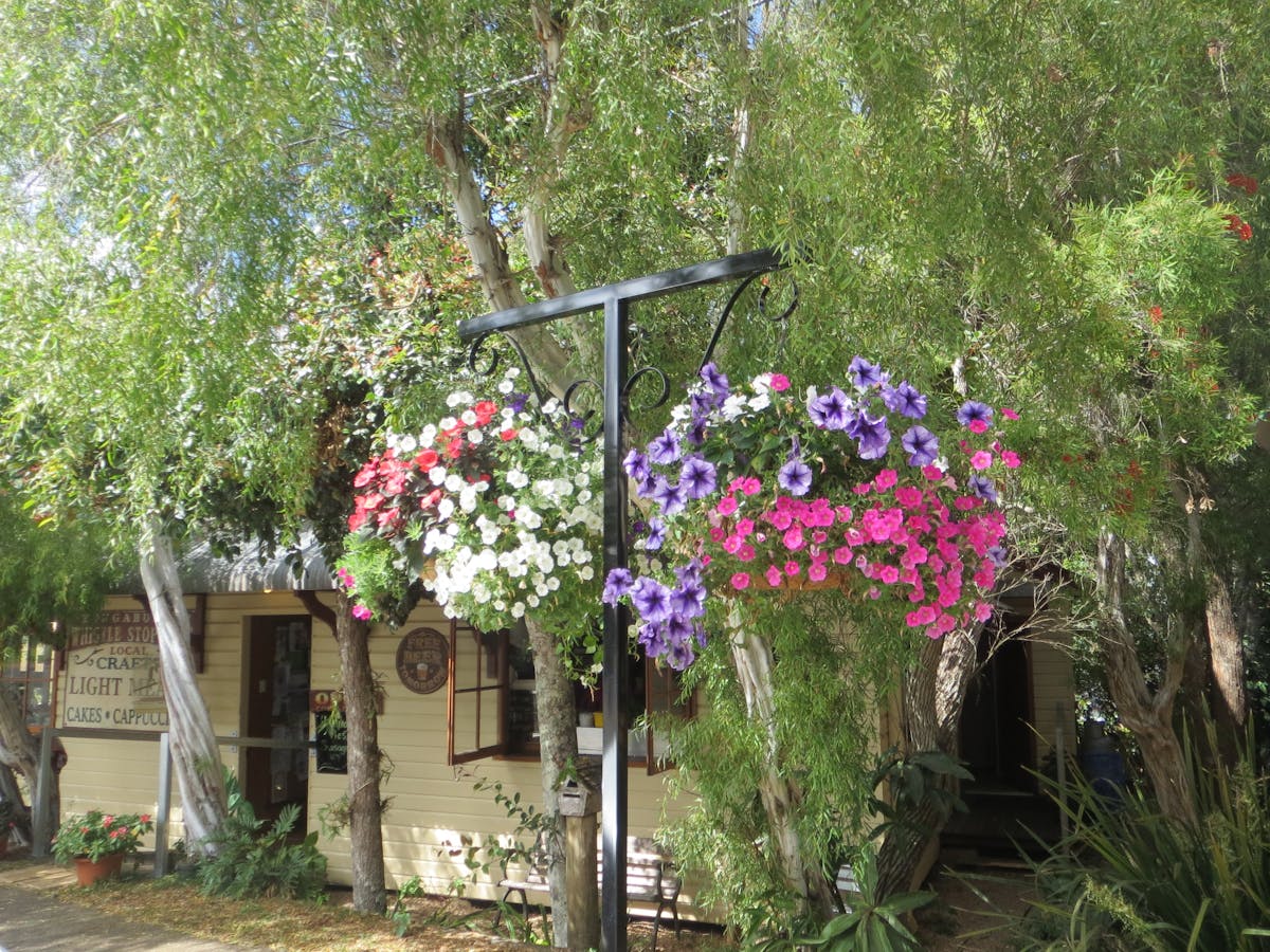 Hanging flowers in the main street