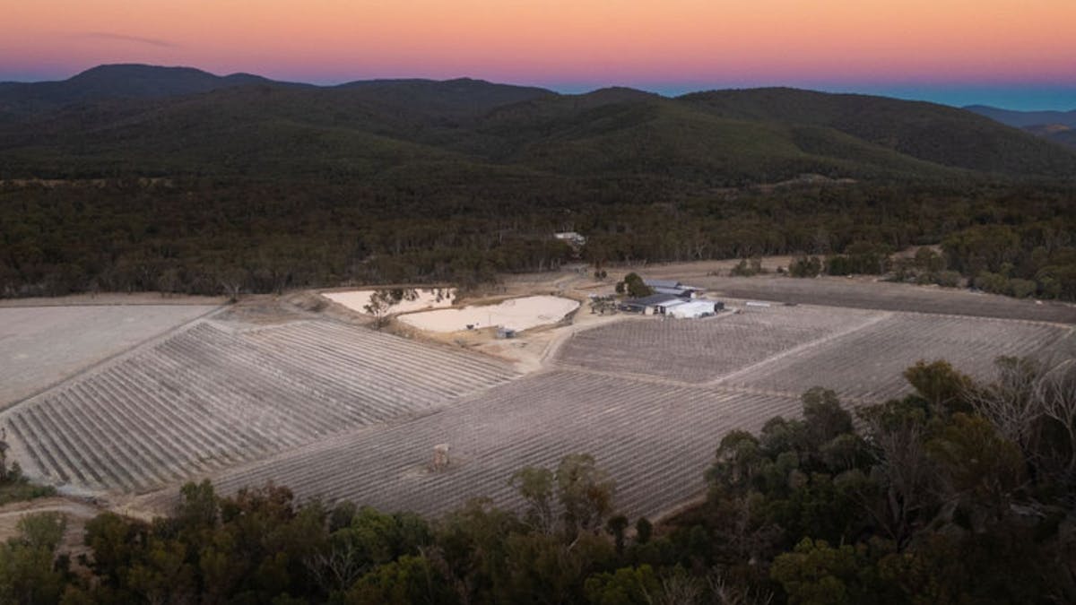Frosty Dawn at Balancing Heart Vineyard on the Granite Belt, South-East Queensland