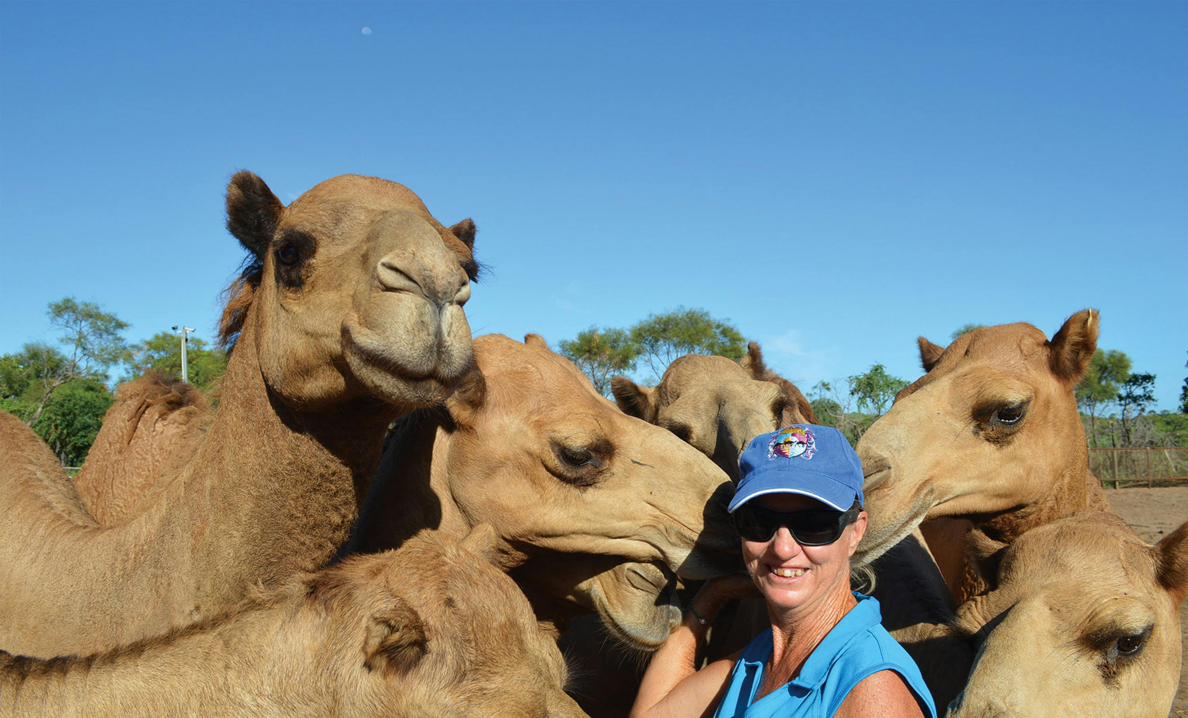 Broome Camel Safaris, Cable Beach, Western Australia