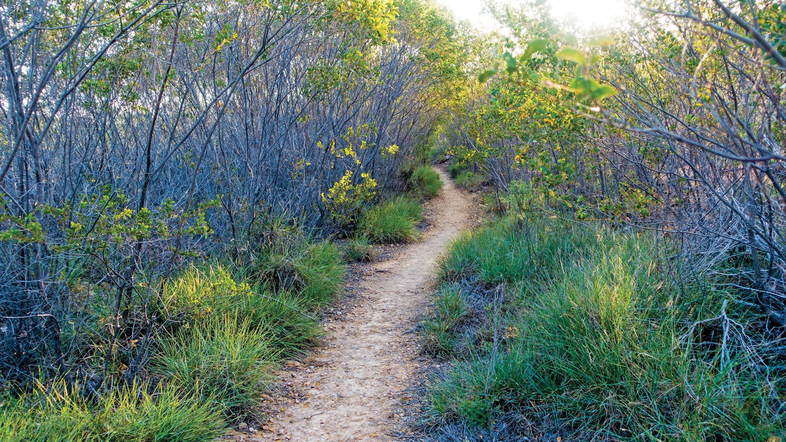Minerva Hills National Park