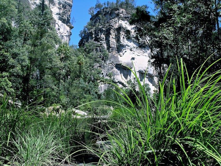 Carnarvon Gorge, Queensland