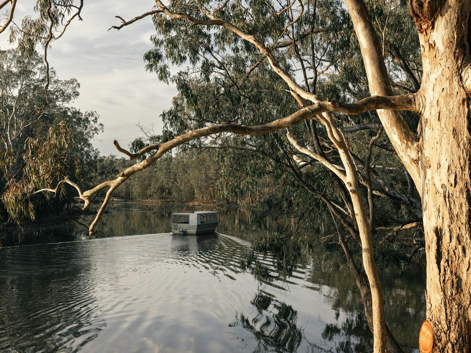 boat on wetlands
