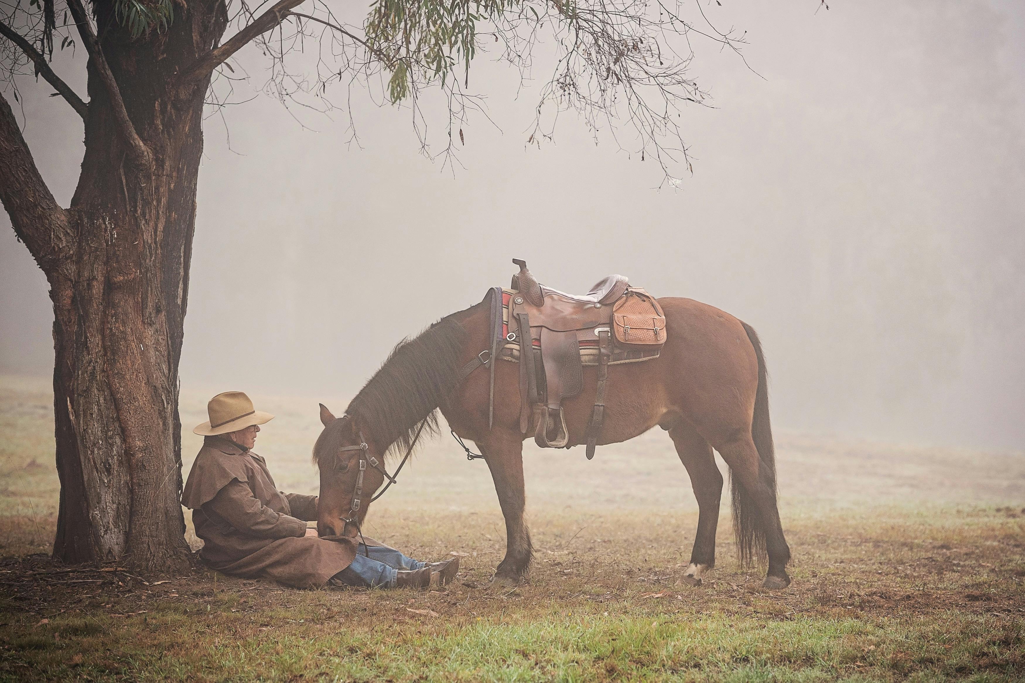 Equine Photography Exhibition