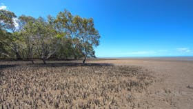 Cottonwood Walk