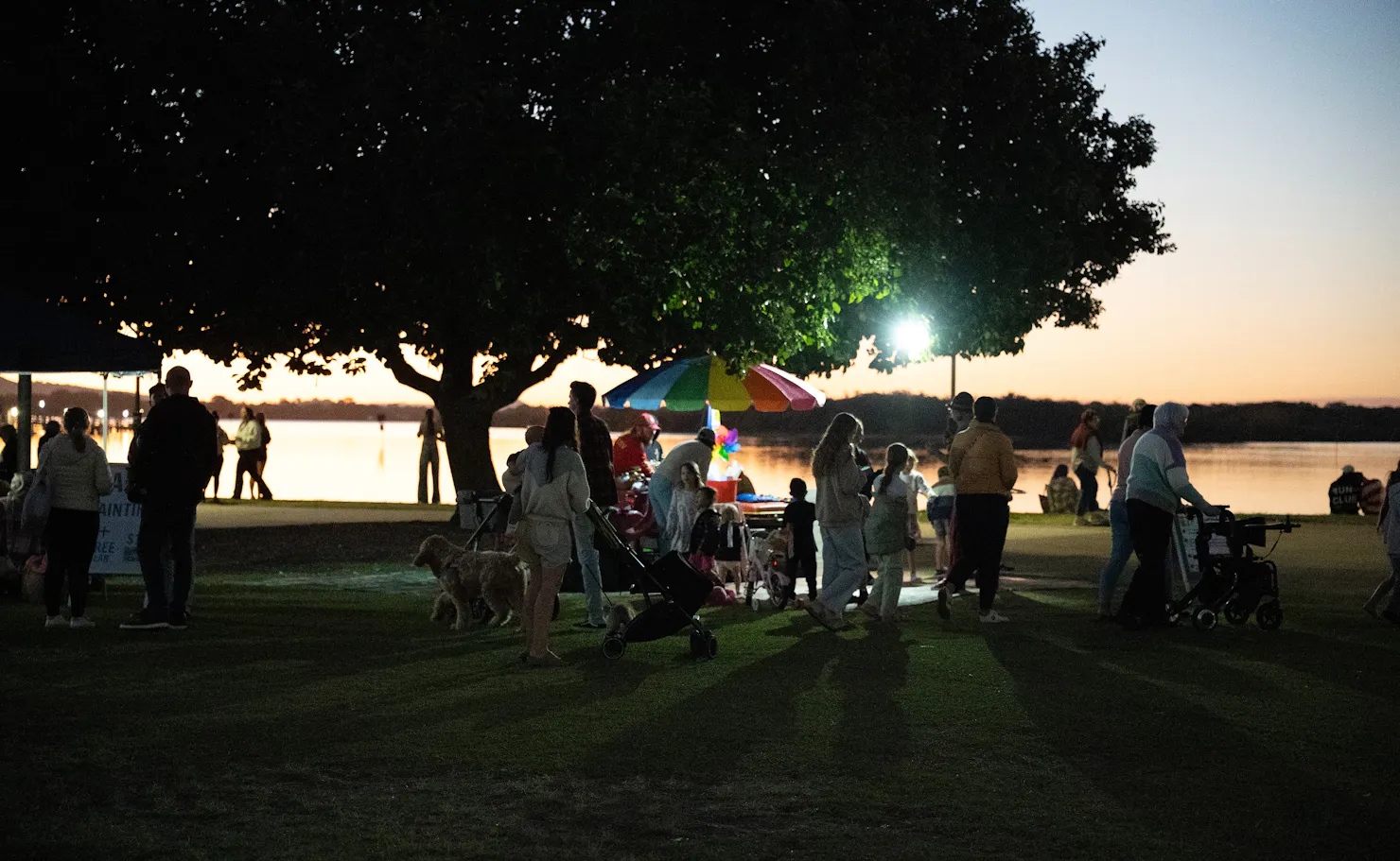 Best Markets on the Sunshine Coast