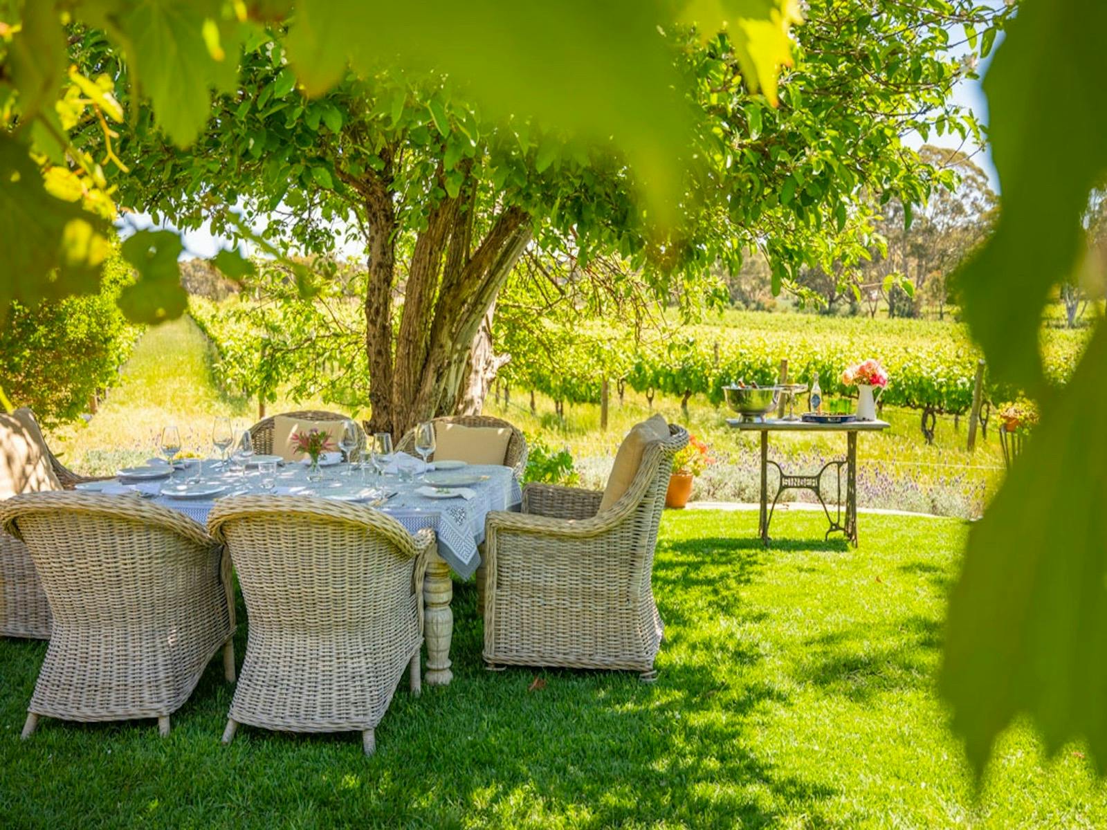 Ultimate dining experience  in the heart of wine country.