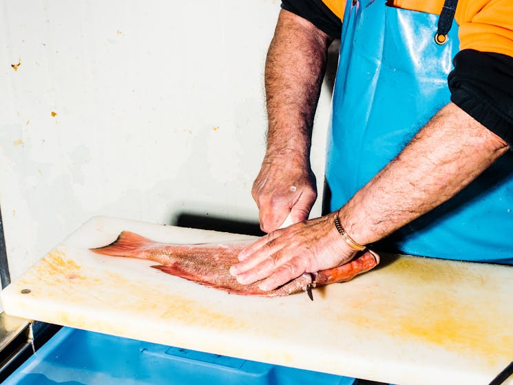 Hands filleting fish