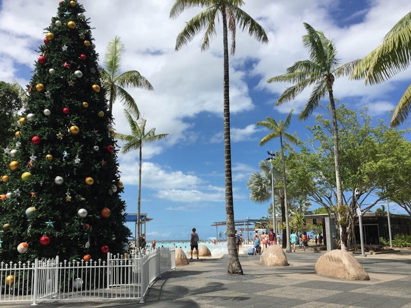Image for Summer Swing and Cool Jazz at the Lighting of the Cairns Christmas Tree