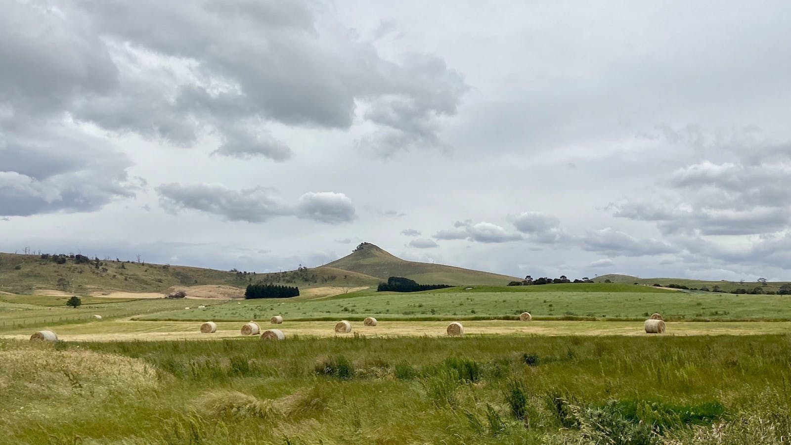 Rural scenery southern Tasmania
