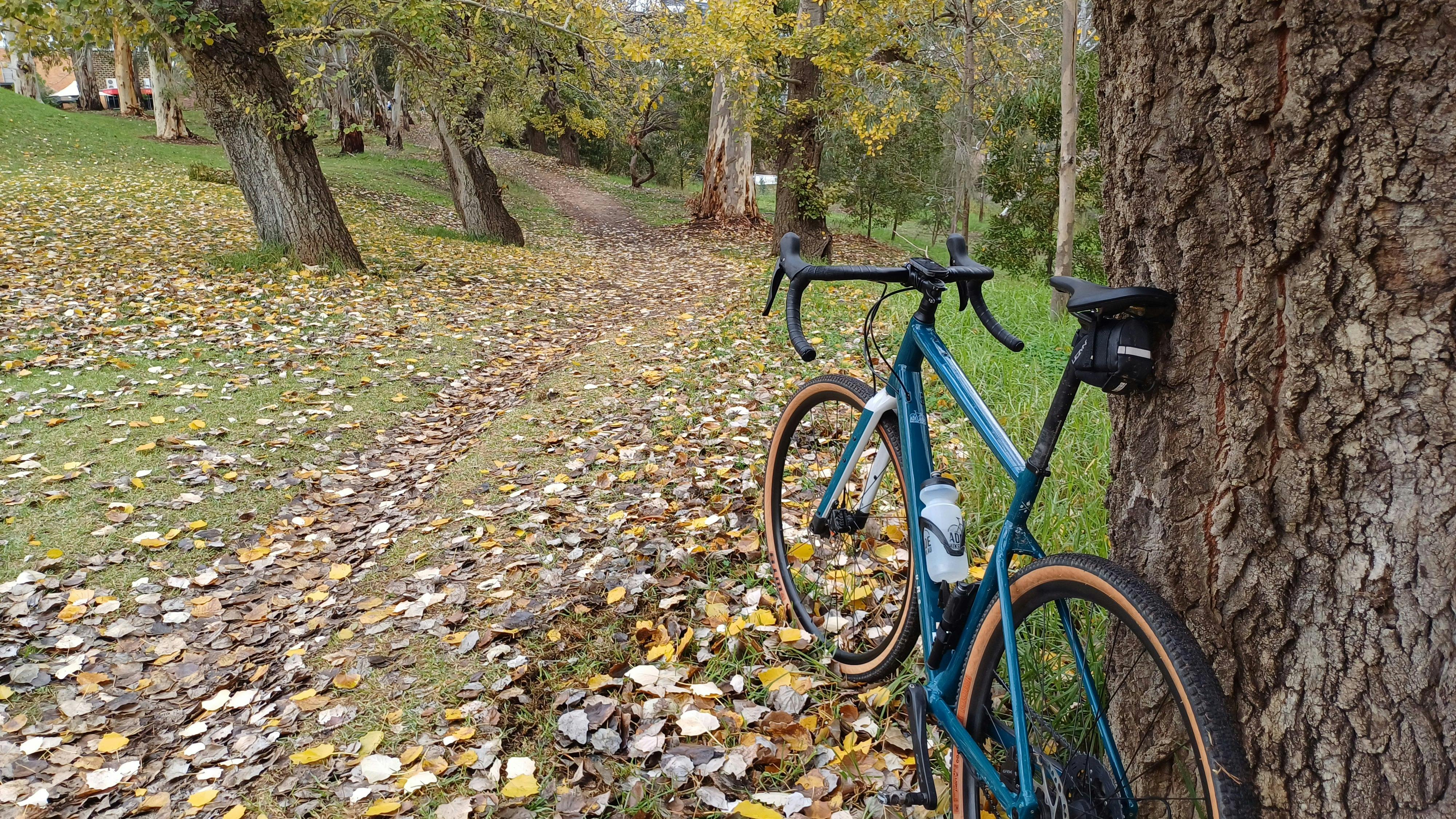 Adelaide Bike Hire | Performance Road | Flat Bar | E-Bike Slider Image 6