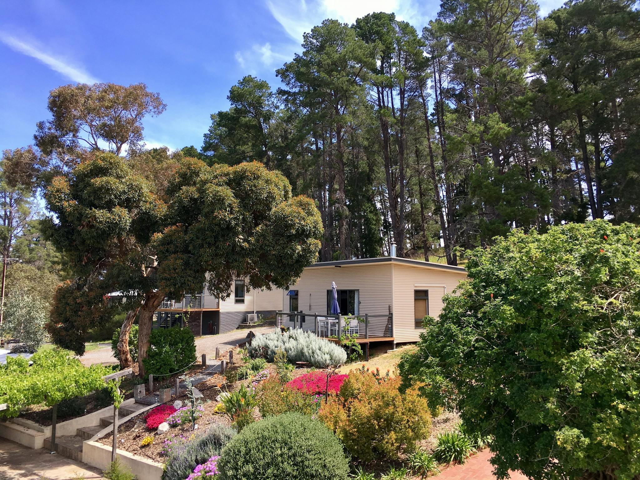 Karawatha Cottages McLaren Vale - view onto Relish Cottage with cottage garden in full bloom