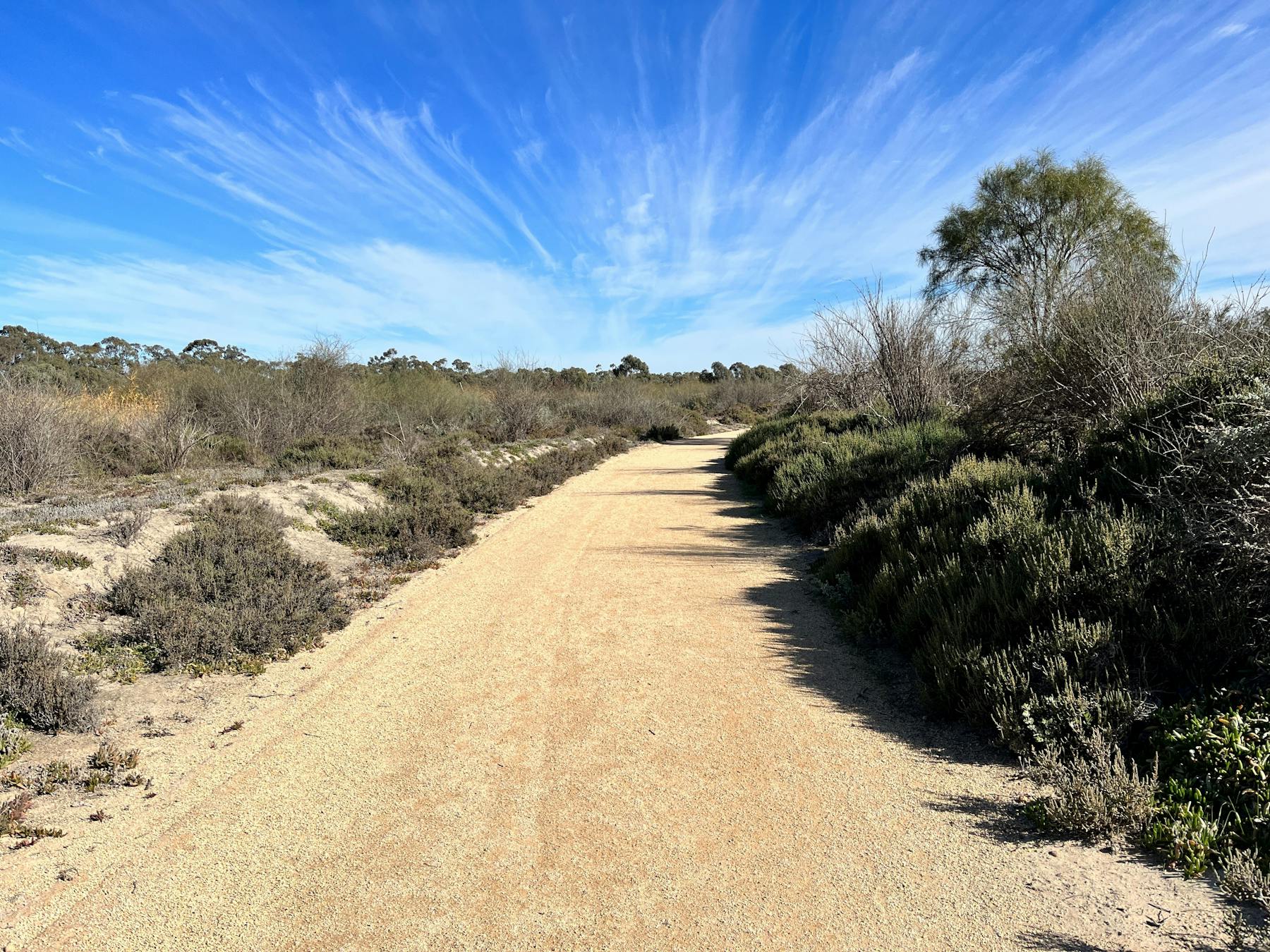 Walking Track at Hart Lagoon Walking Trail