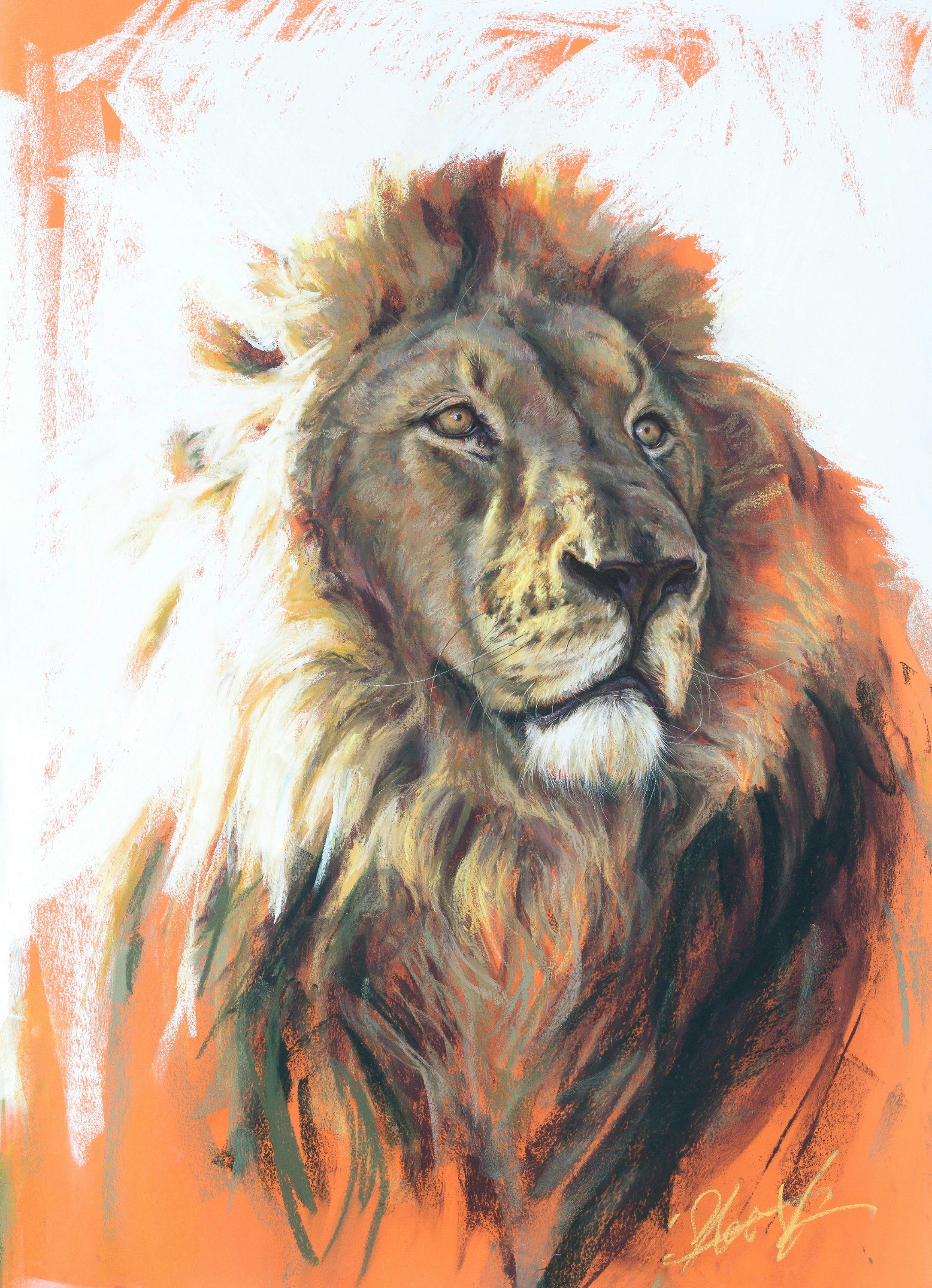 'King of the wild - African lion'