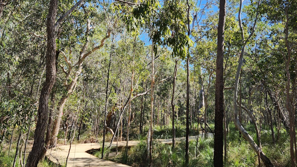 386 m accessible bushland boardwalk at Traveller's Rest 1770, Agnes Water, 1770 Queensland