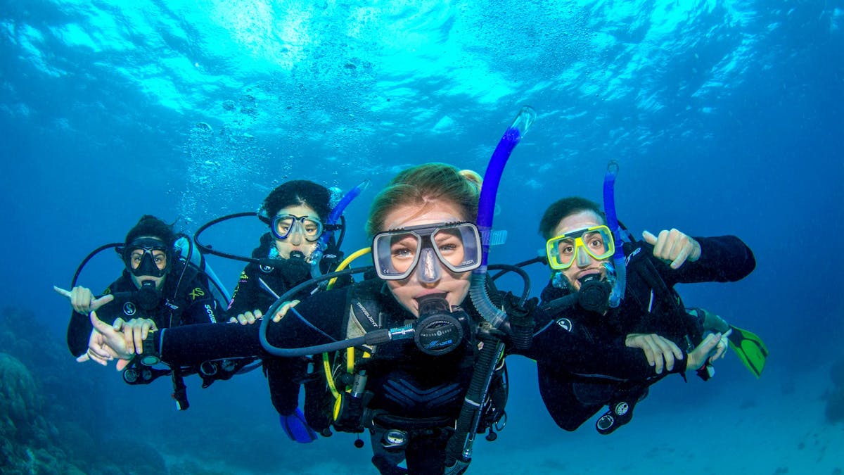 Introductory Divers