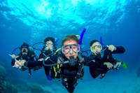 Introductory Divers