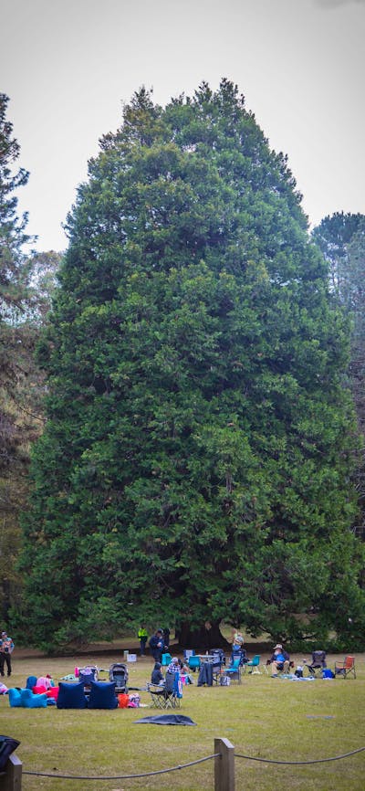 Pilot Hill Arboretum picnic grounds