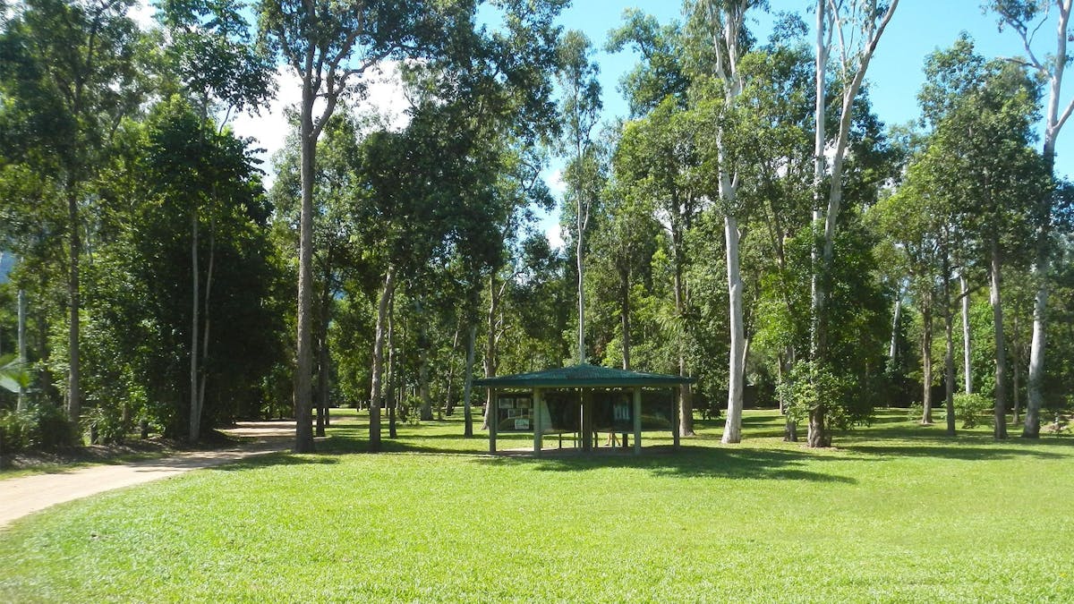 Picnic area is sheltered by trees in a grassy area surrounded by forest. Picnic area is sheltered by trees in a grassy area surrounded by forest.