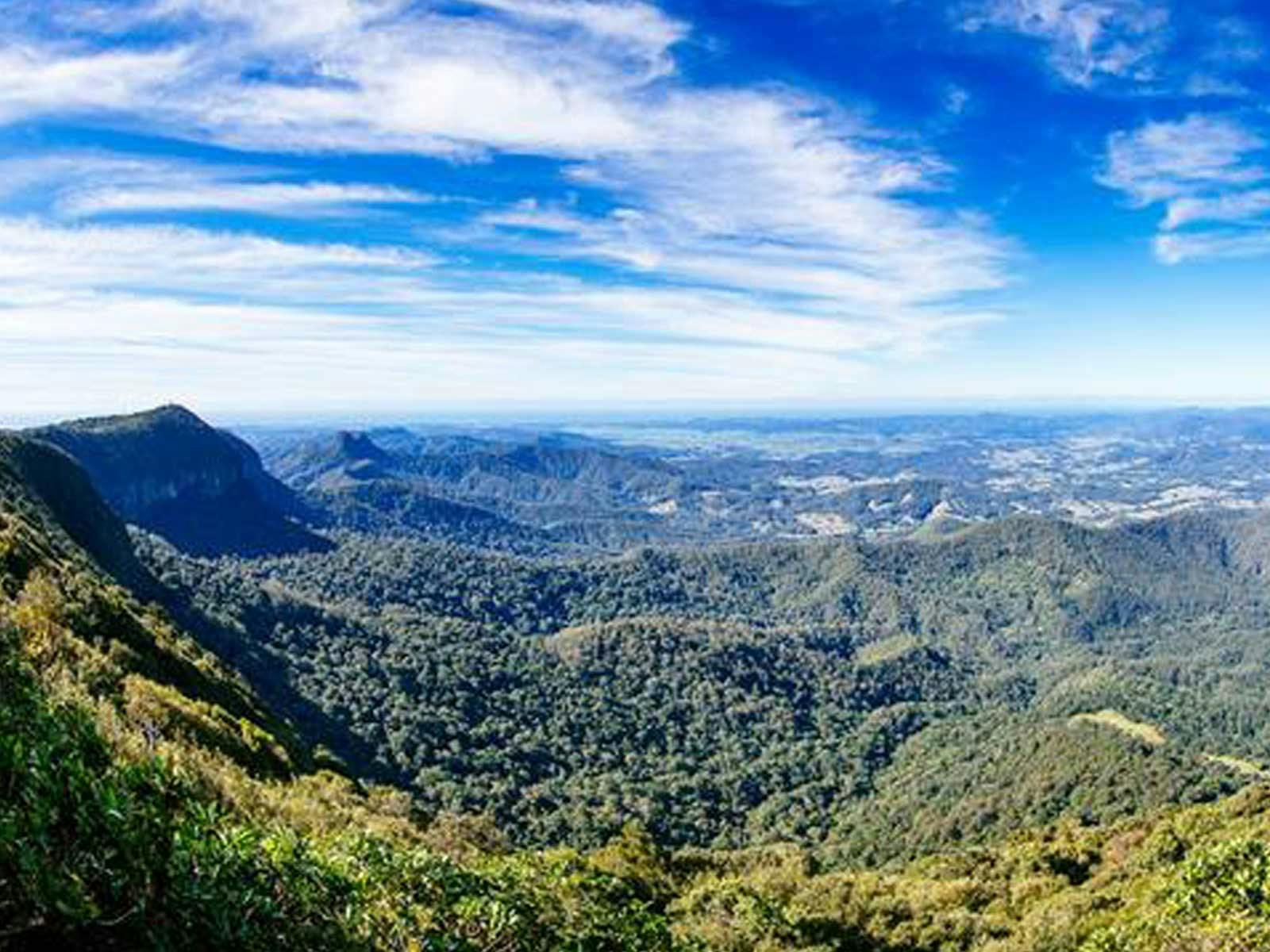 Gold Coast Hinterland Explorer Day Pass